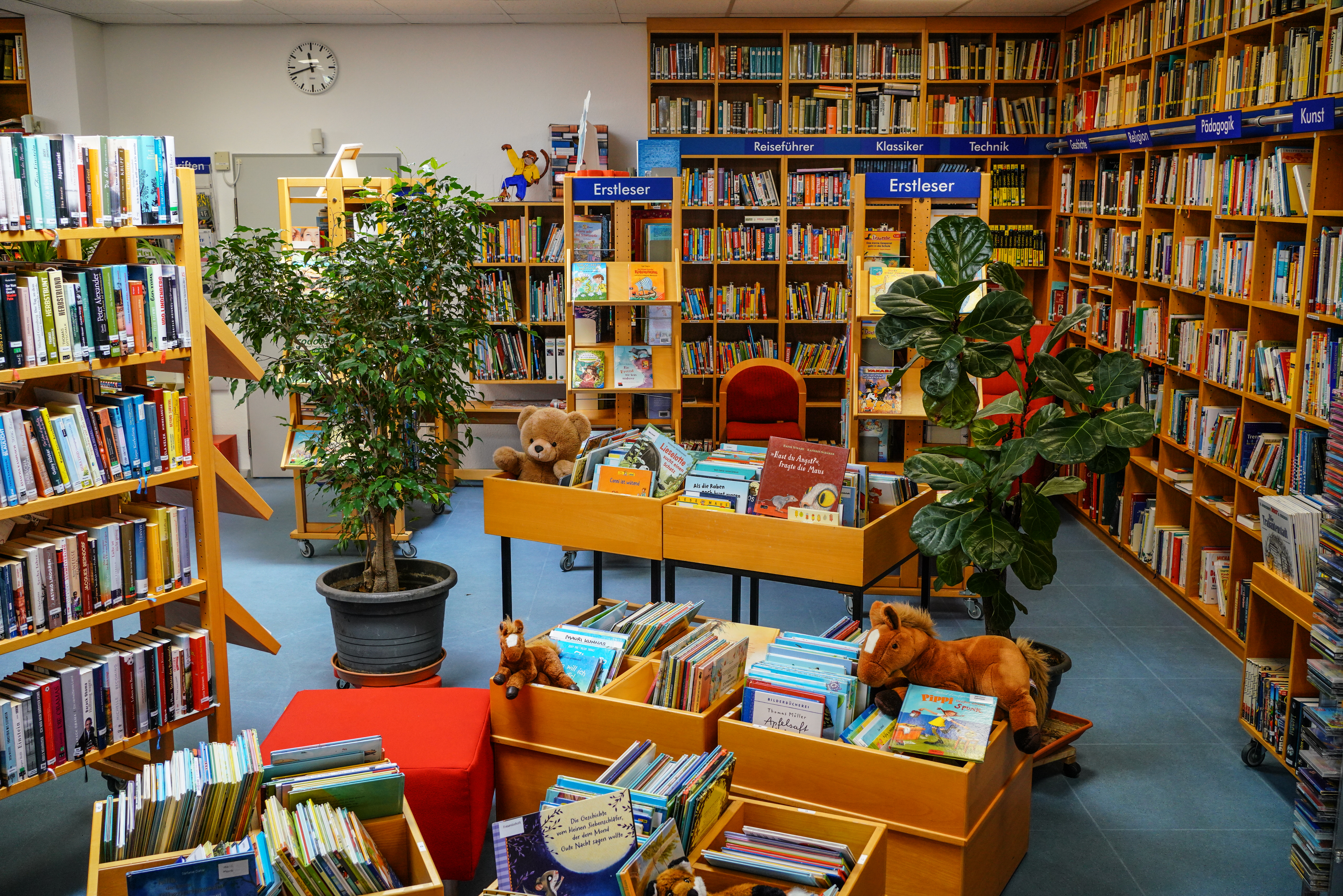 Hölzerne Wandregale, stehende Regale auf blauem Boden und hölzerne Kisten mit verschiedenen, bunten Büchern zu Themen wie Erstleser, Reiseführer, Klassiker, Technik, Pädagogik, Kunst ,dazwischen zwei grüne Pflanzen, ein flauschiges, braunes Schaukelpferd und ein rote, würfelförmige Sitzgelegenheit in der Gemeindebücherei